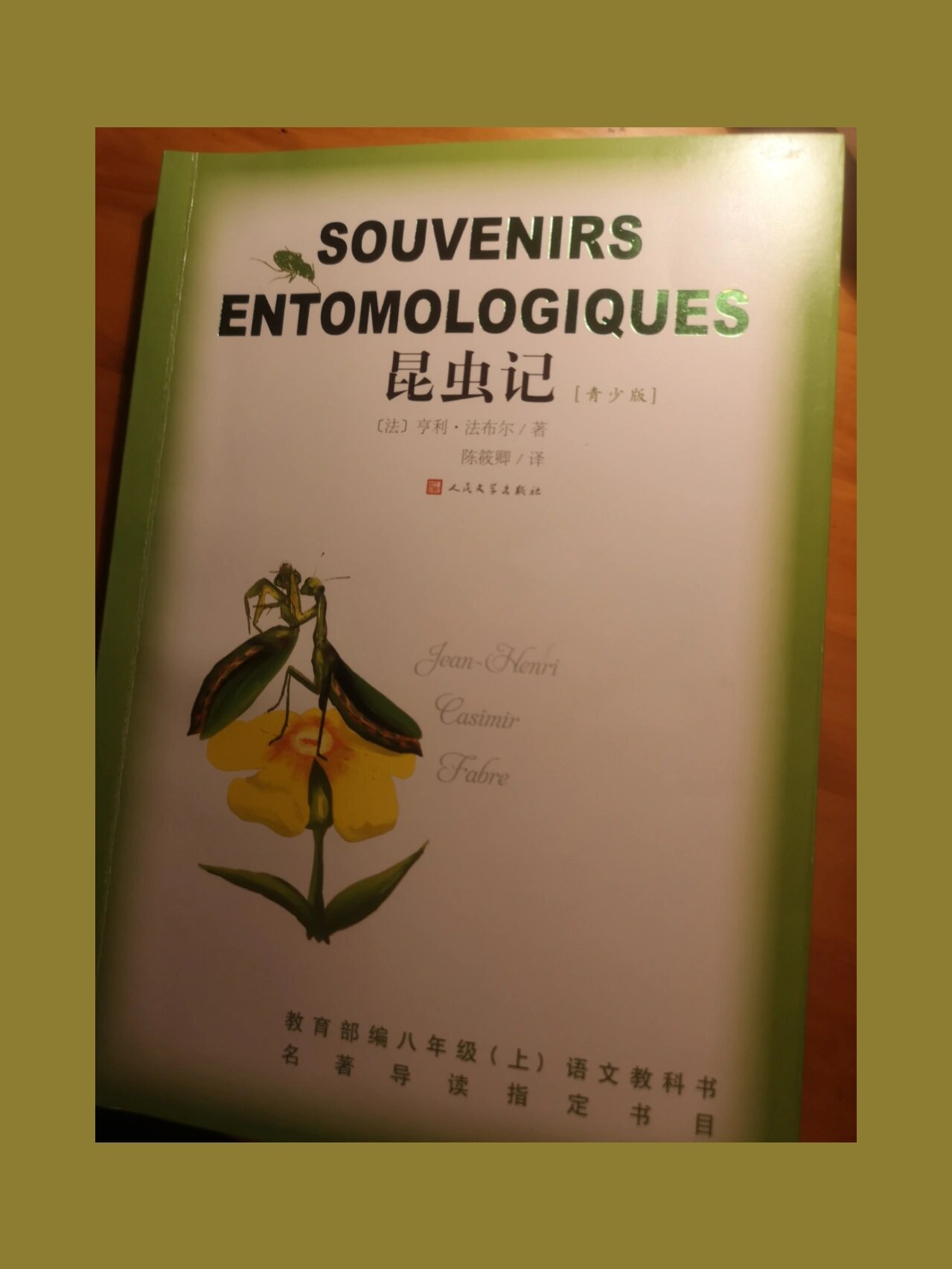 昆虫记读书笔记||豌豆象