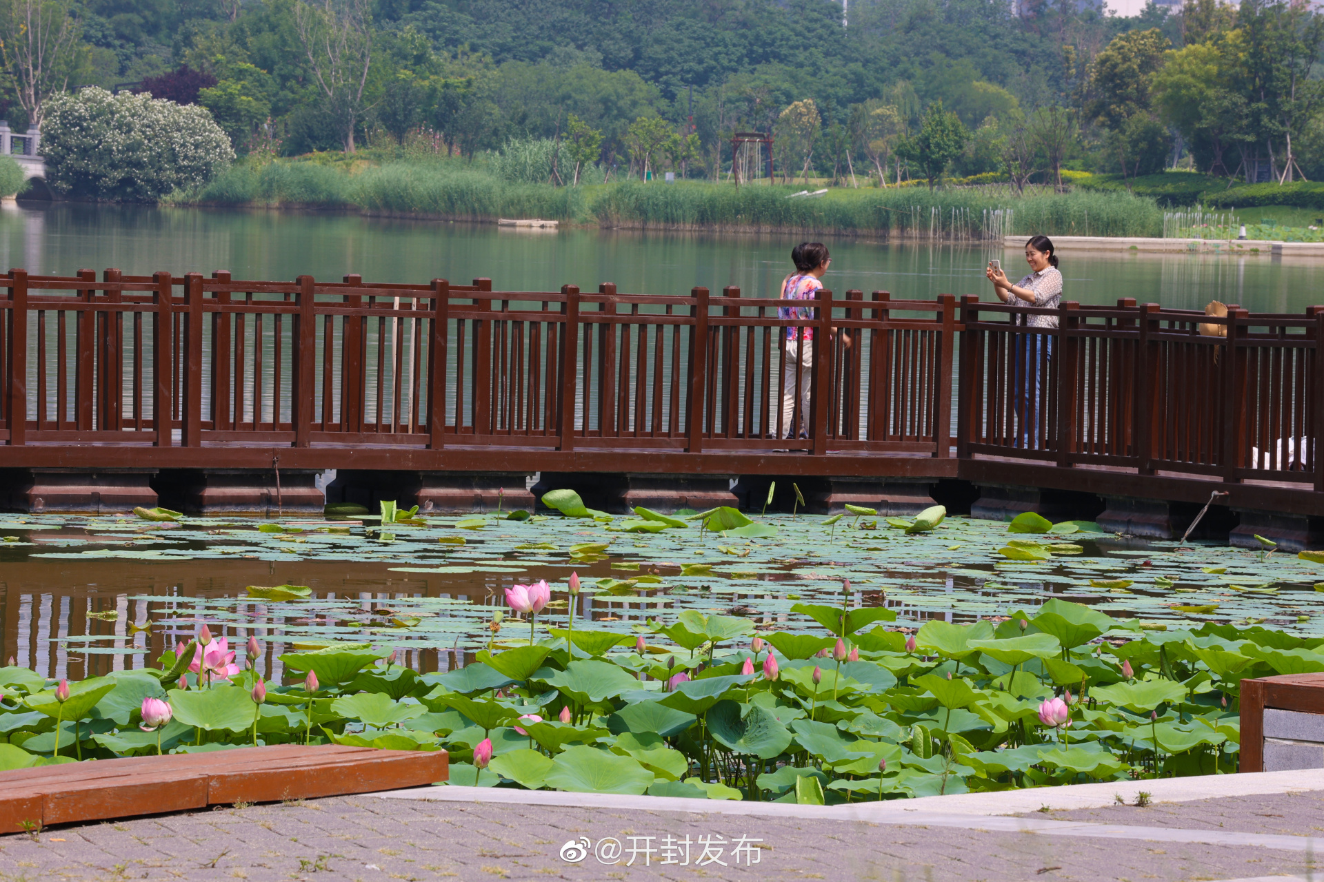 开封西北湖湿地公园图片