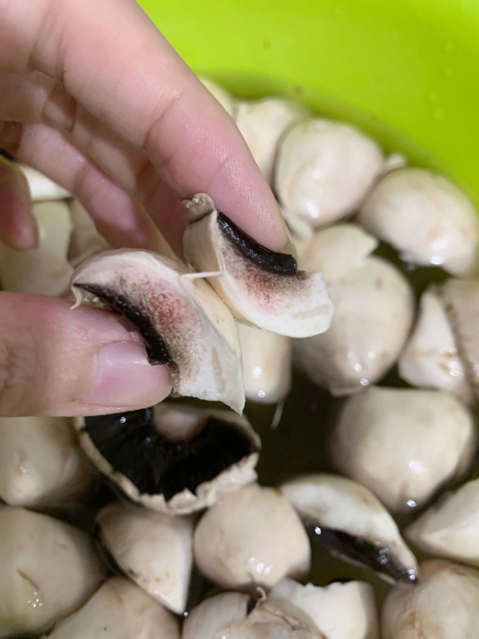 放了几天的口蘑变黑了 洗96的水都是黑的 还有黑色的灰样的东西,扔