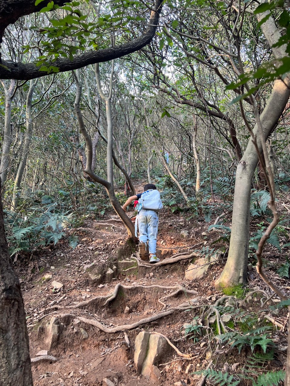 亲子徒步苏州穹窿山小恐龙环线04(附攻略) 9015全程18km,总耗时