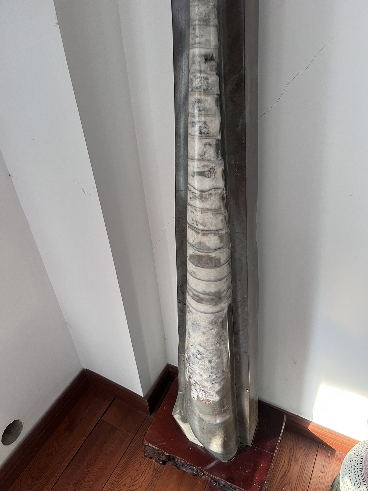 4亿至5.1亿年前奥陶纪时期的震旦角石!不知道价值多少?高1.2米多点!