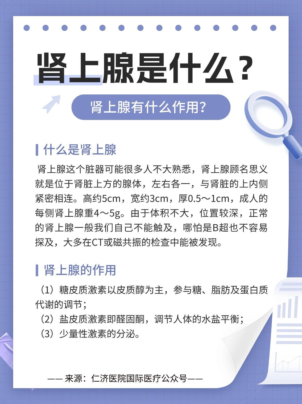 内容包括: 1.什么是肾上腺,有什么作用? 2.