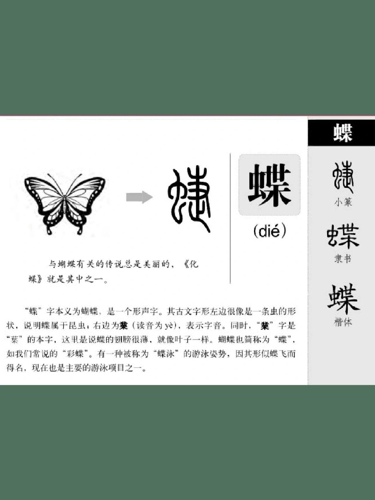 说文解字|蝴蝶破茧而出的美是我所喜欢的