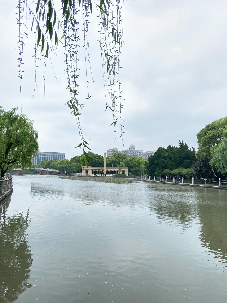 真心喜欢这个公园 | 松江思贤公园 去松江和朋友吃饭,吃完饭相约一起