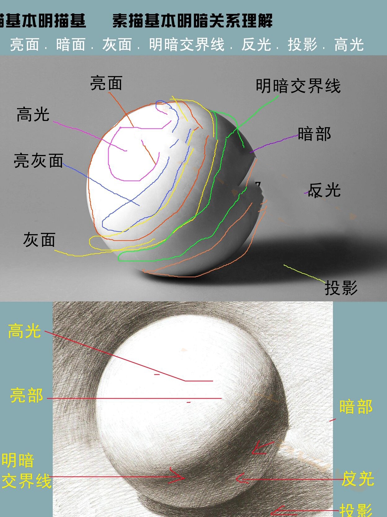 明暗交界线脸图片