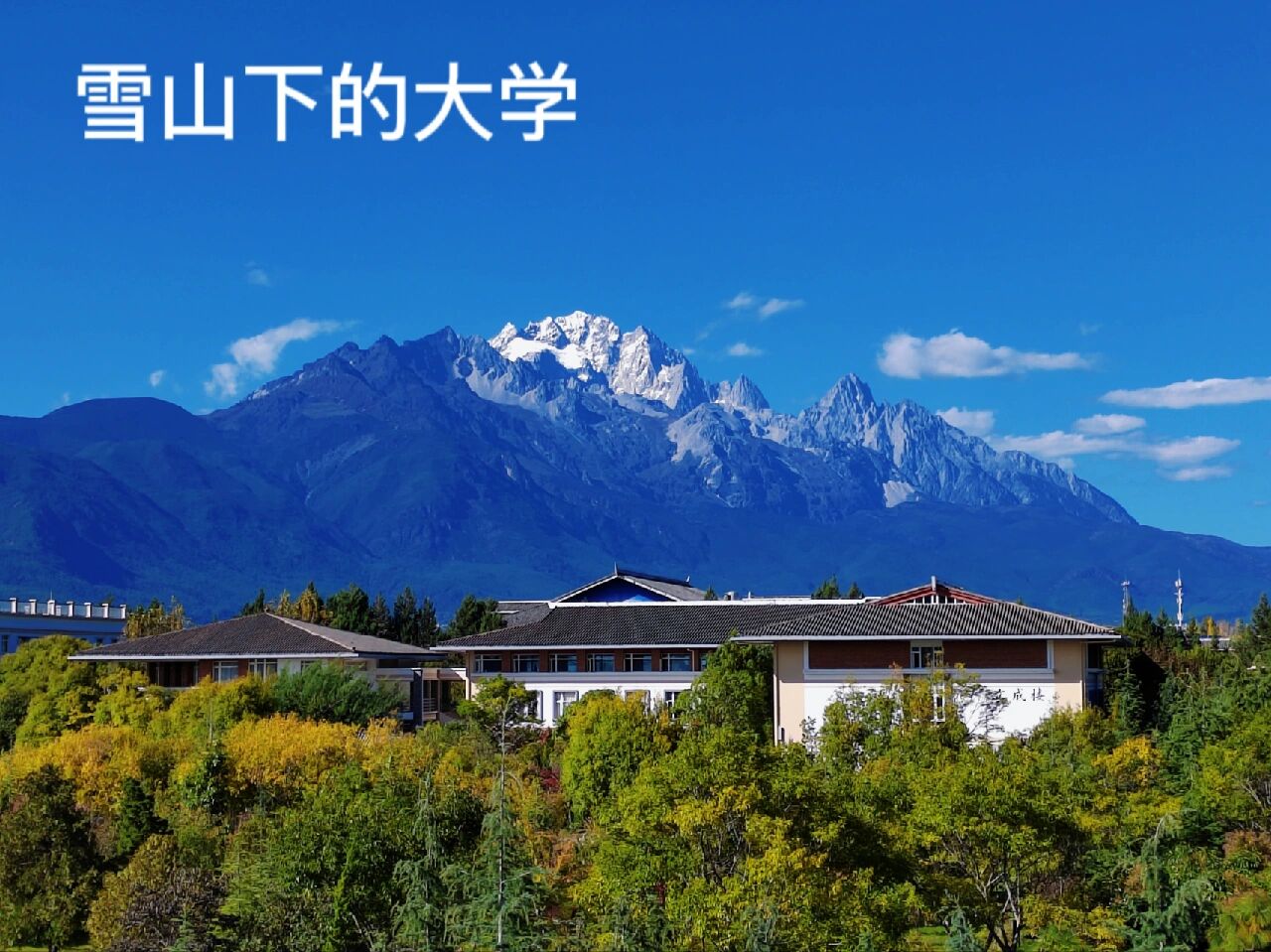 丽江文化旅游学院