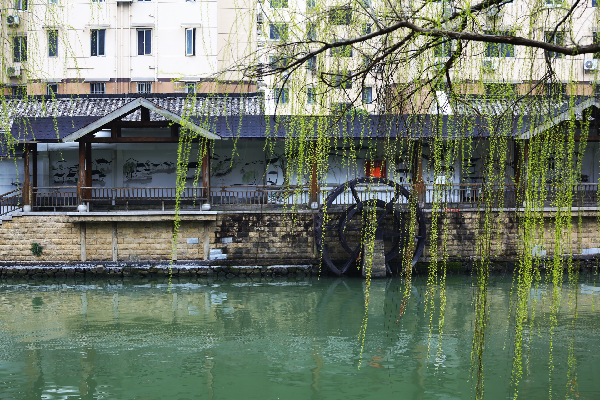 寻访春天的故事#春天气息浓,余杭塘河畔美