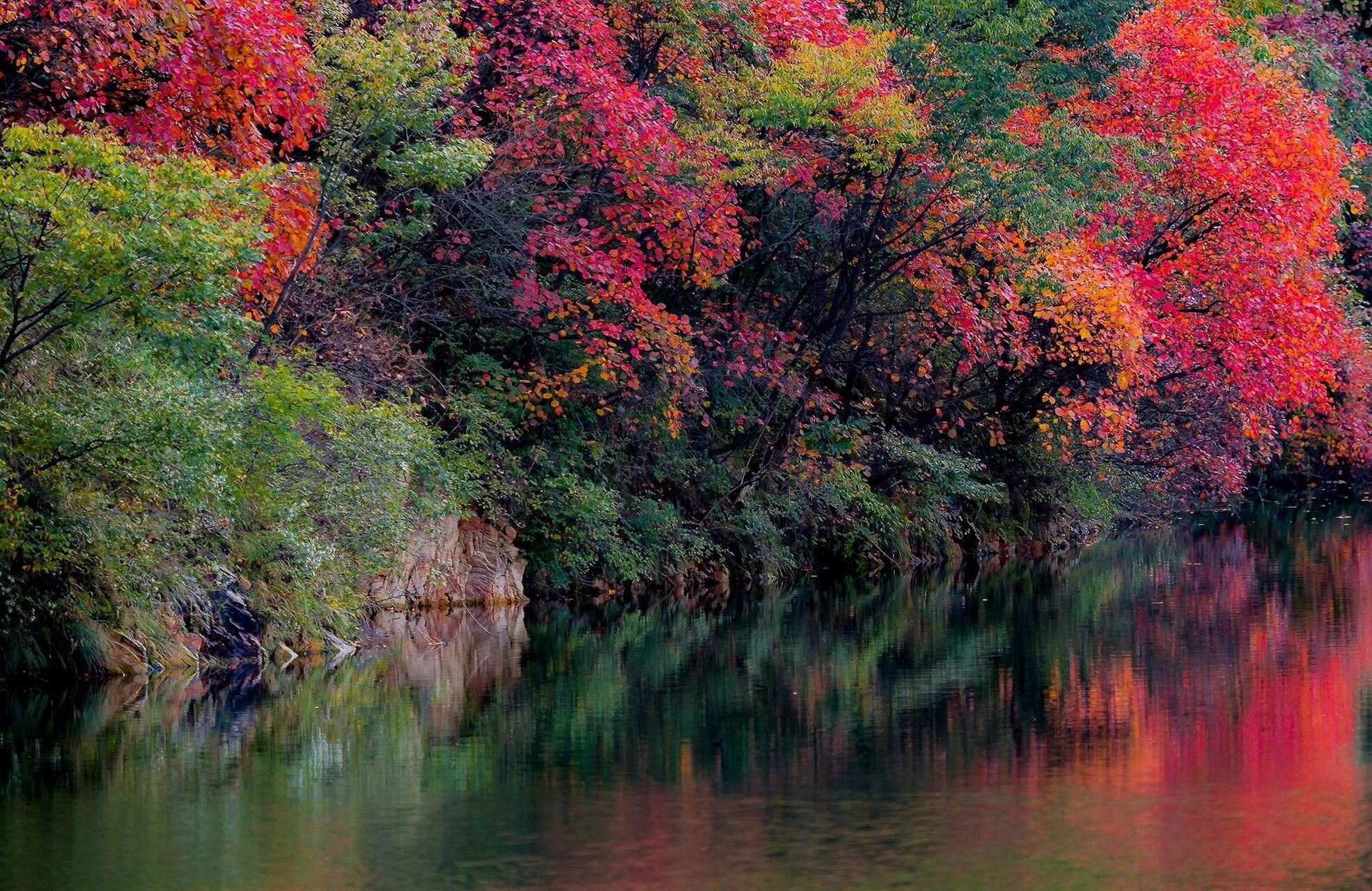河南5日游攻略 【老君山】 老君山位于河南省洛阳市嵩县,是世界地质