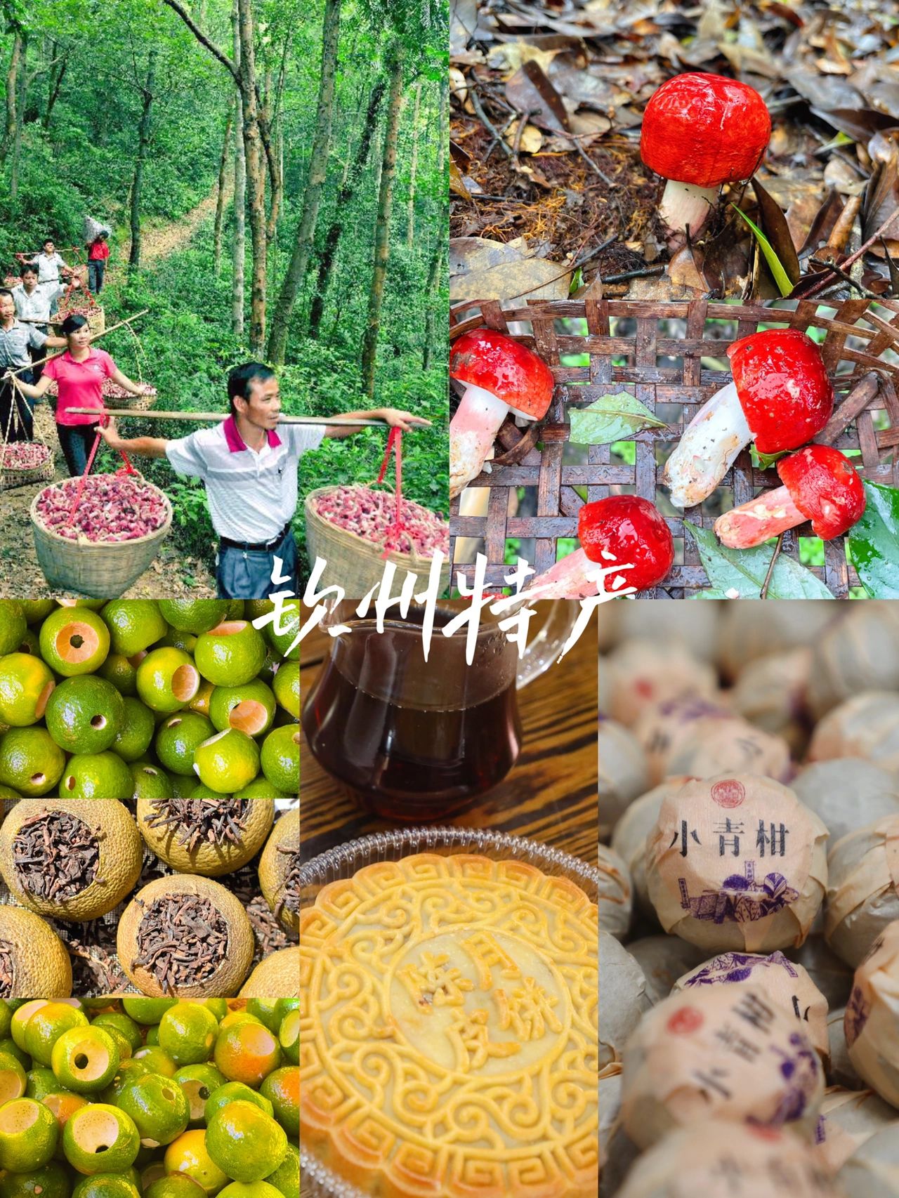 适合送礼的广西特产92钦州三宝必须拥有姓名
