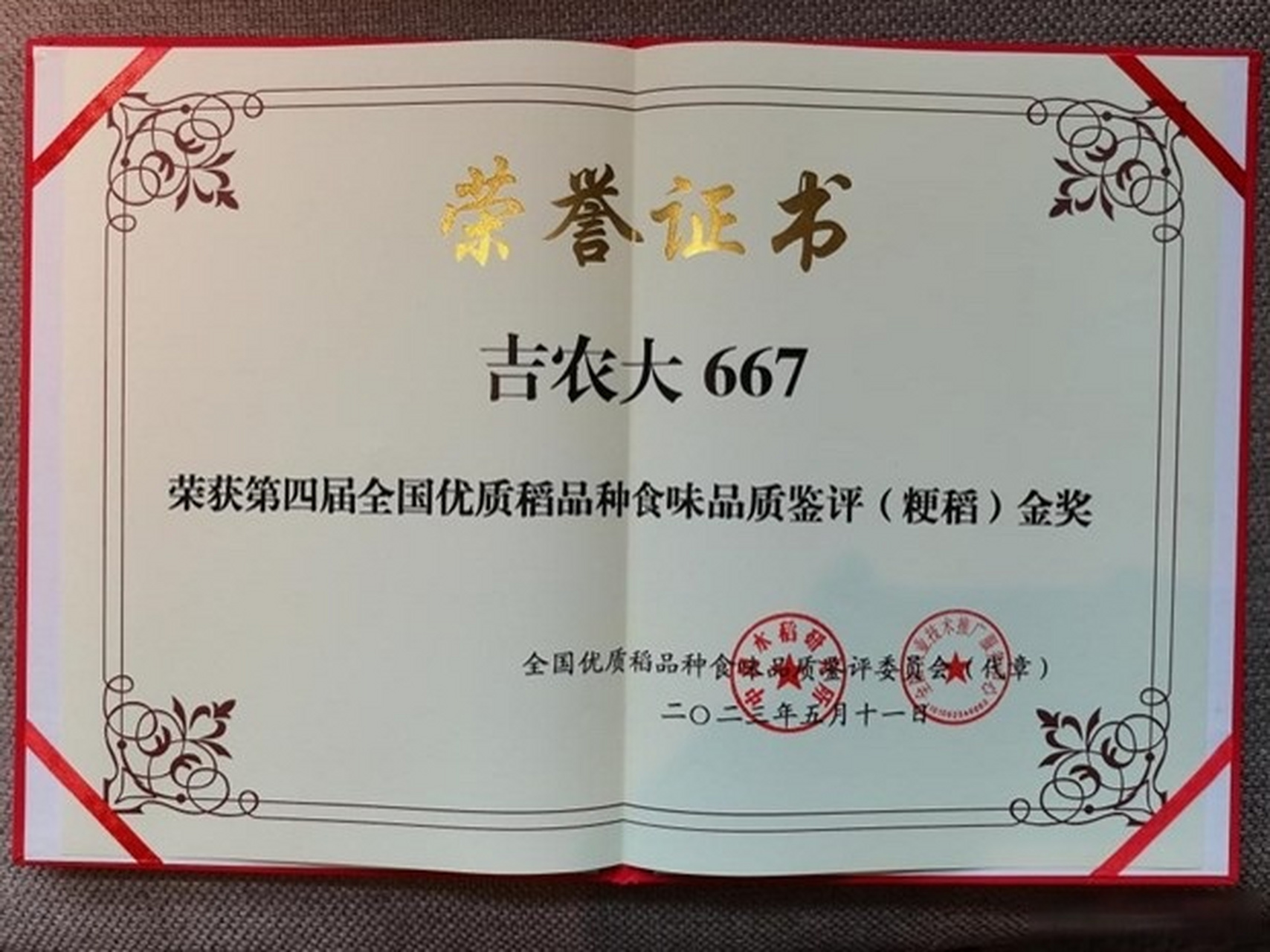 吉林农业大学水稻品种"吉农大667"再获金奖】#长春发布#5月10日至11日