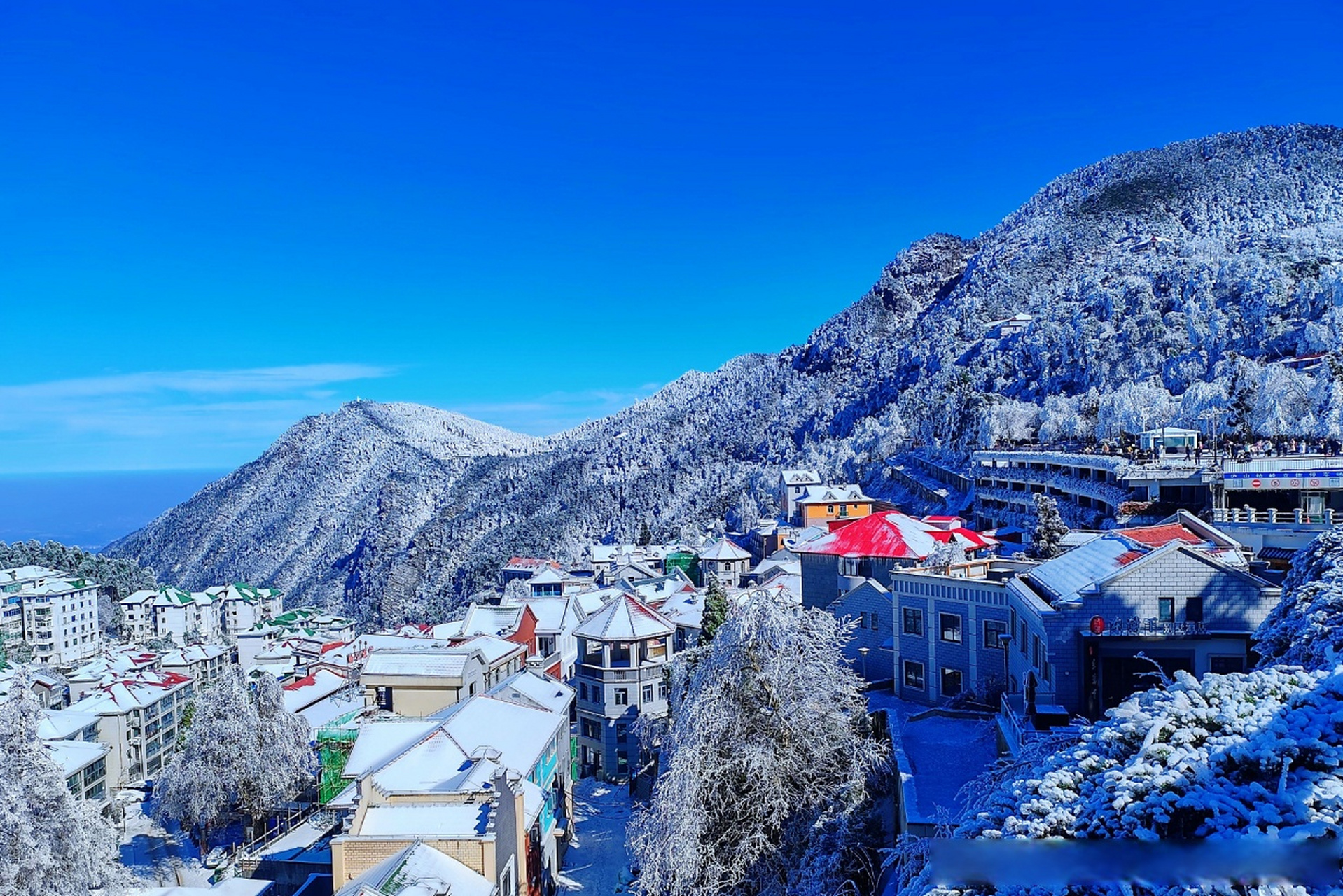 庐山冬天雪景图片