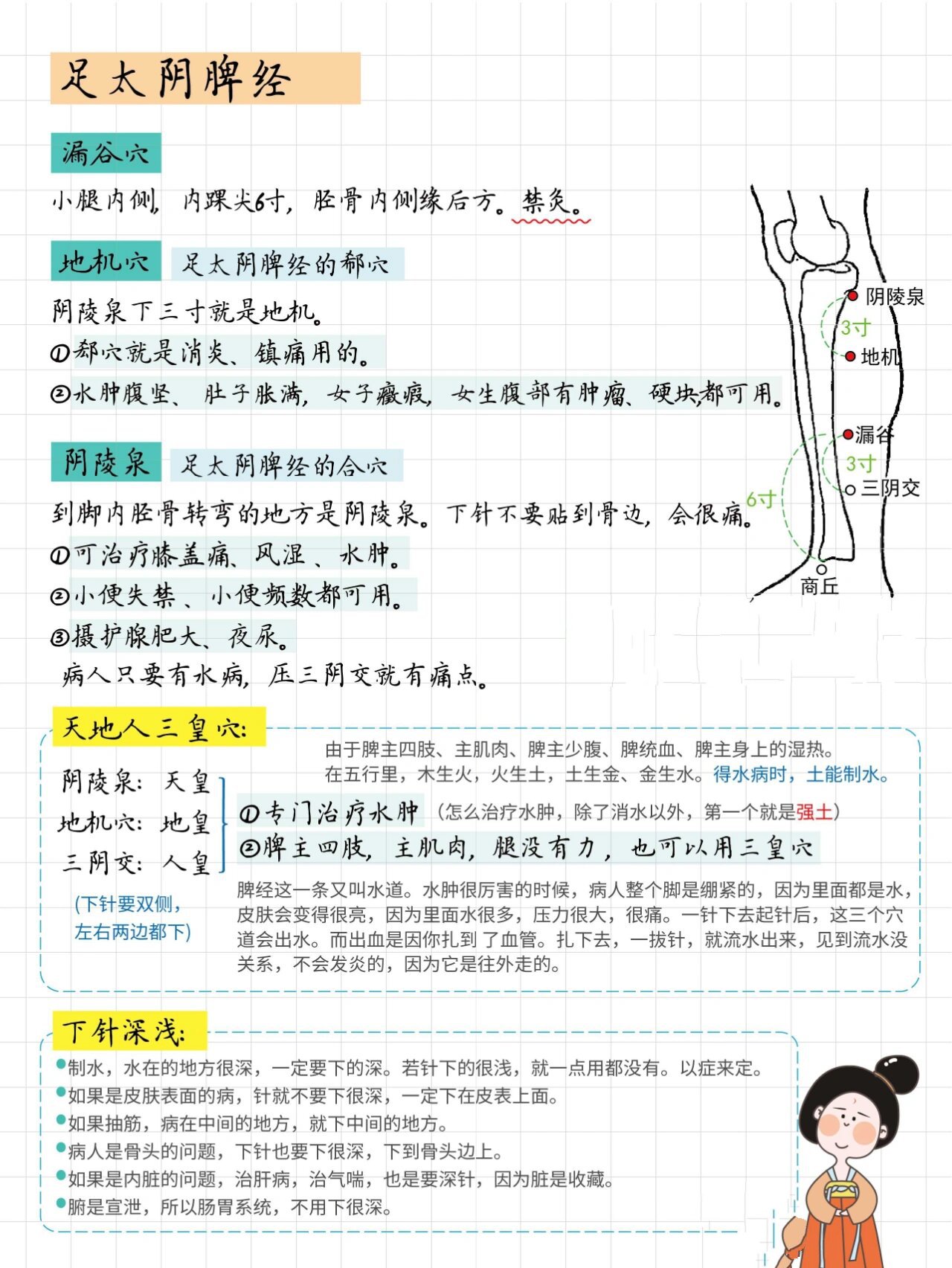 小腿漏谷对应的器官图图片