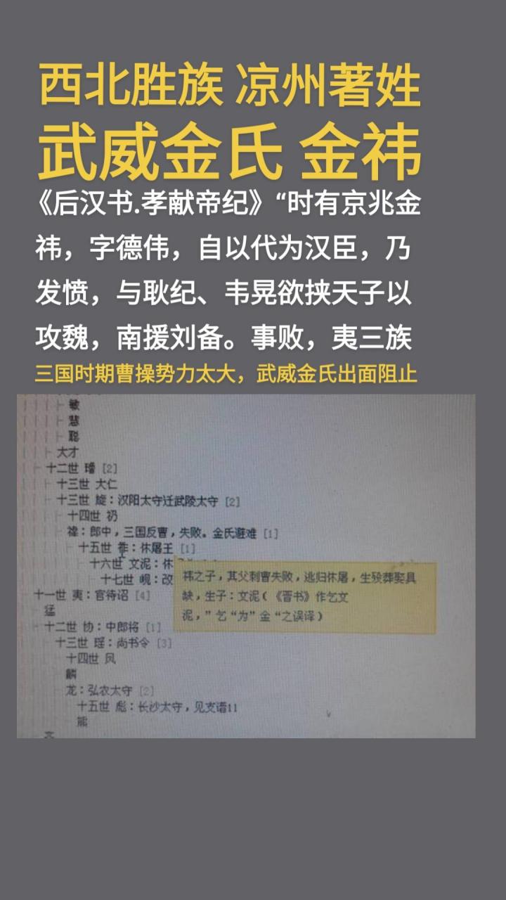 武威金氏金日磾的后人金祎发兵救助汉献帝刘协,随后兵败被曹操杀害.