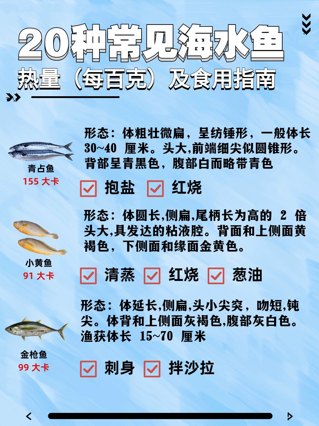 20种常见海鱼热量,形态大盘点!有你爱吃的吗