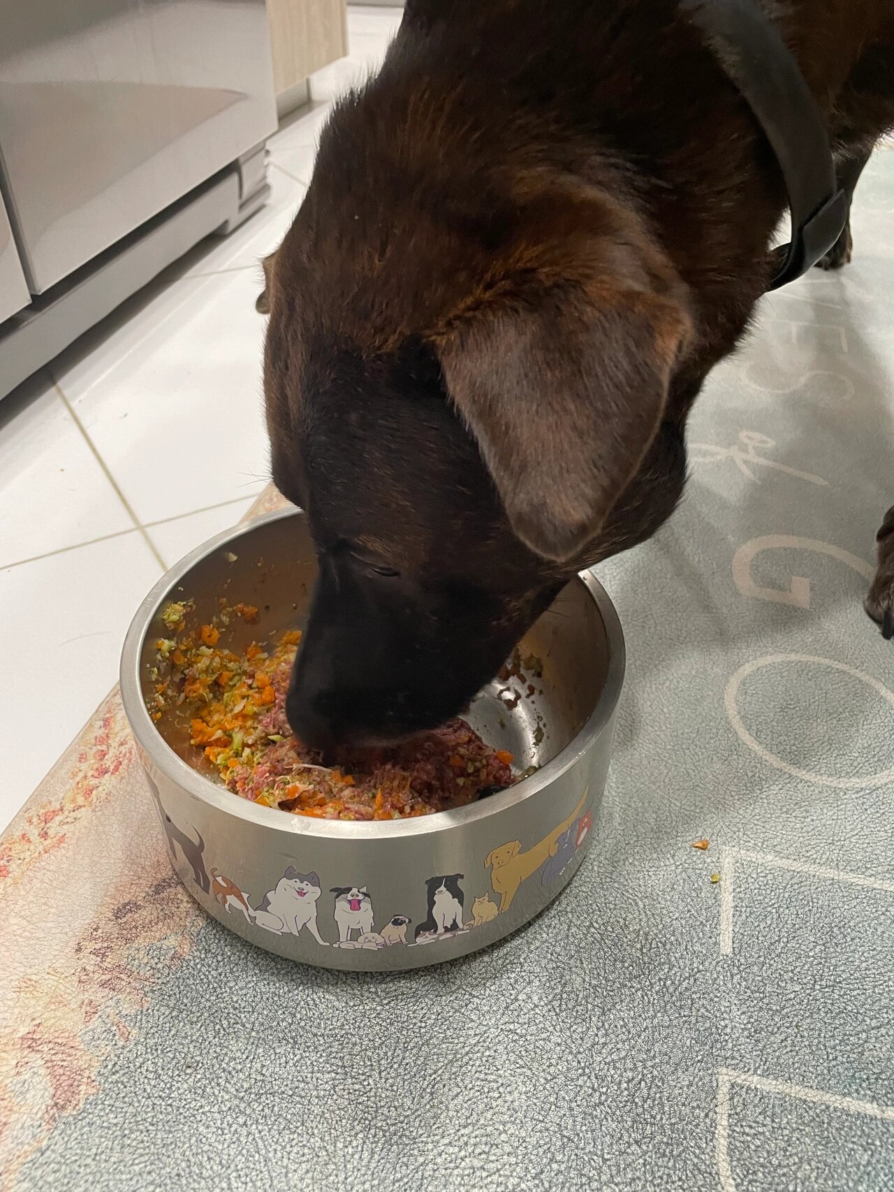 beasty | 狗狗超爱吃的自制营养餐[附食谱]