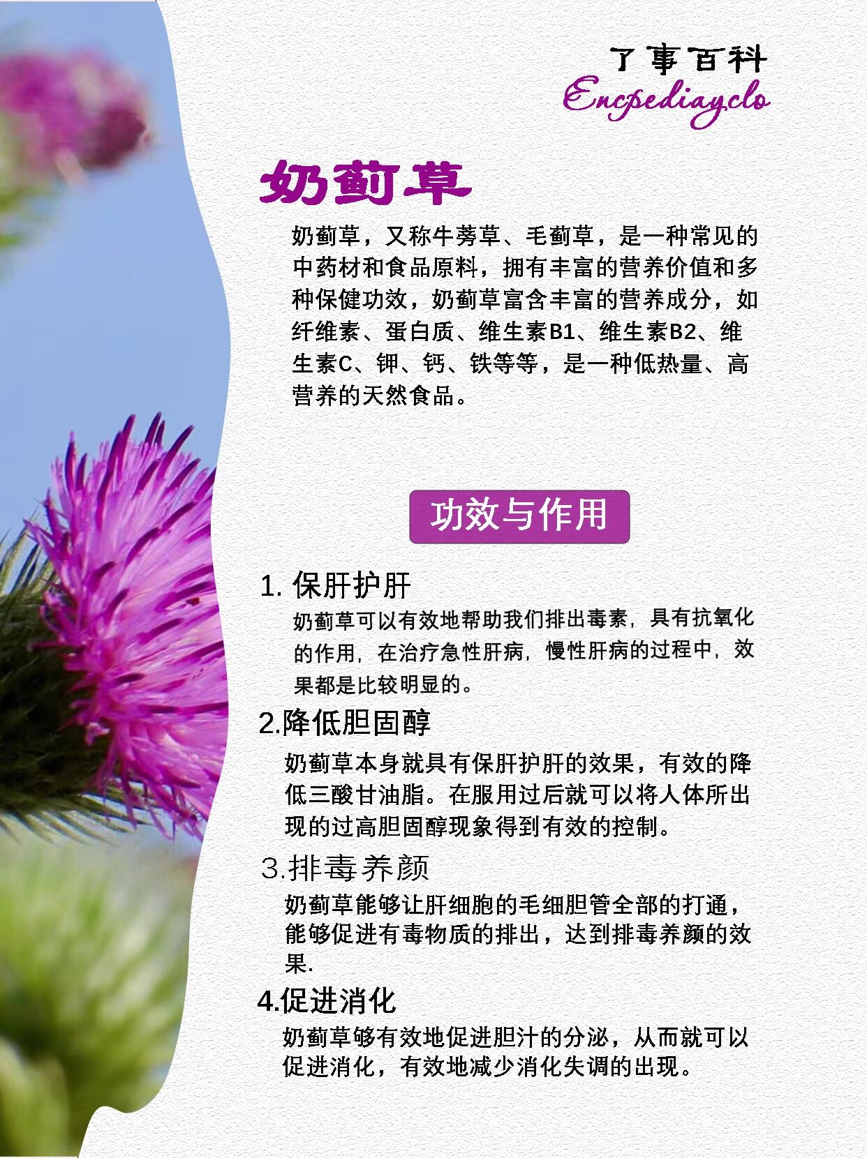 是一种常见的中药材和食品原料,拥有丰富的营养价值和多种保健功效