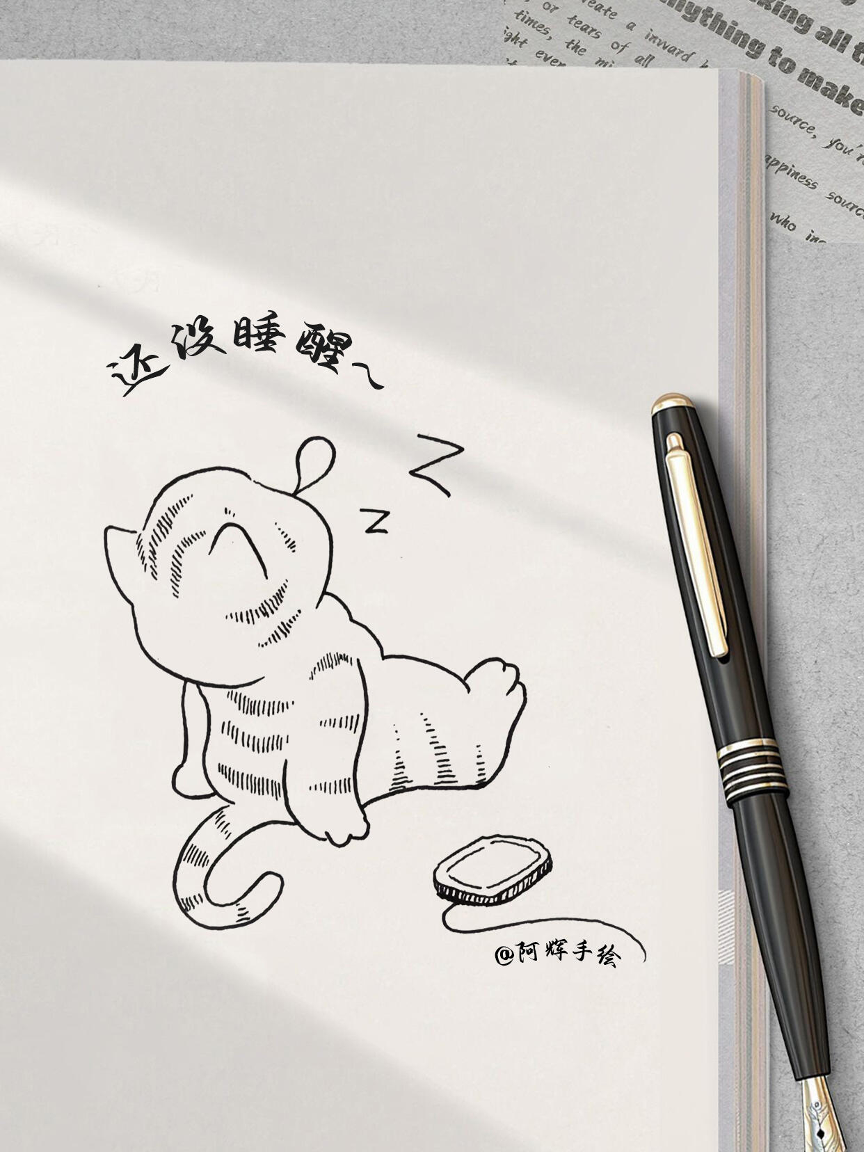 🐱睡不醒