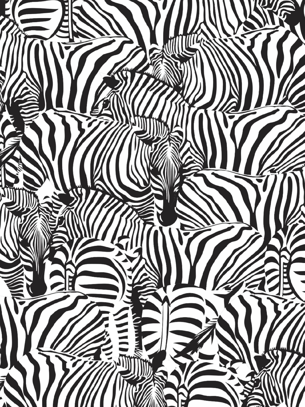 30组图案设计灵感分享|斑马纹