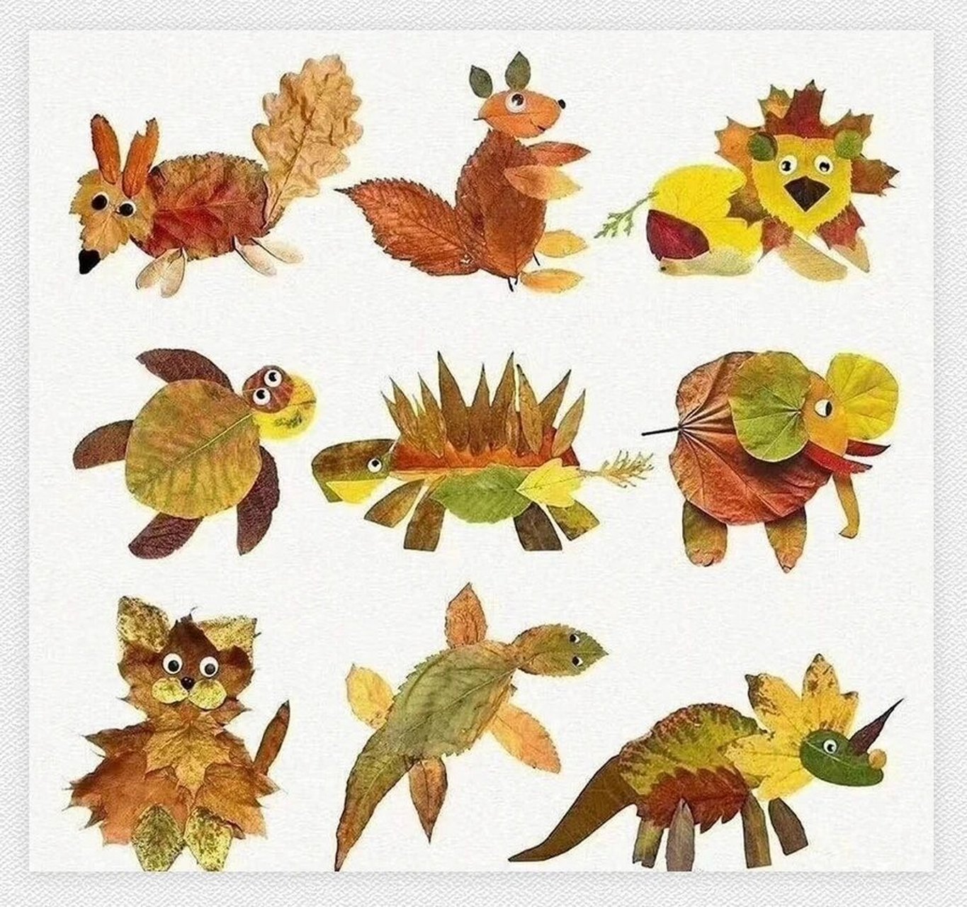 美育素材《树叶拼贴画》 秋高气爽的季节,最适合到大自然中去走一走