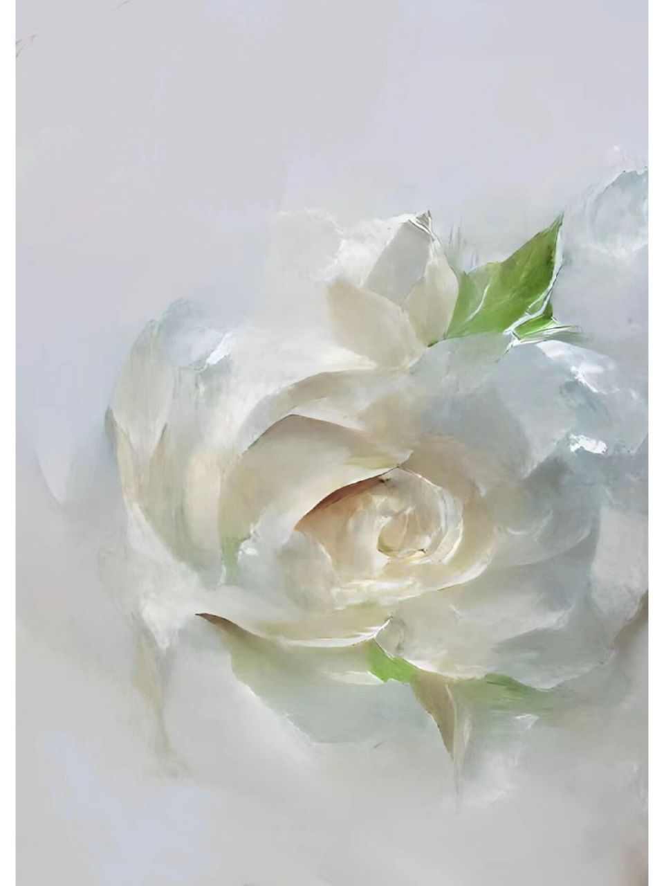 白玫瑰底图素材 自摄影照片 ai,感觉很适合作封面,修改了一下分享给