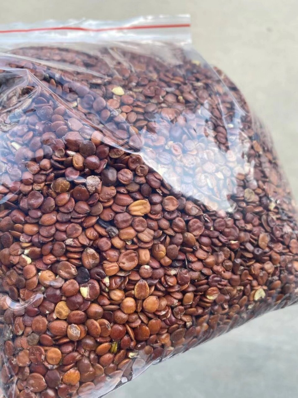 酸枣仁 酸枣仁是被大家熟知的治疗失眠的中药,是甘酸平,入心,肝,胆经