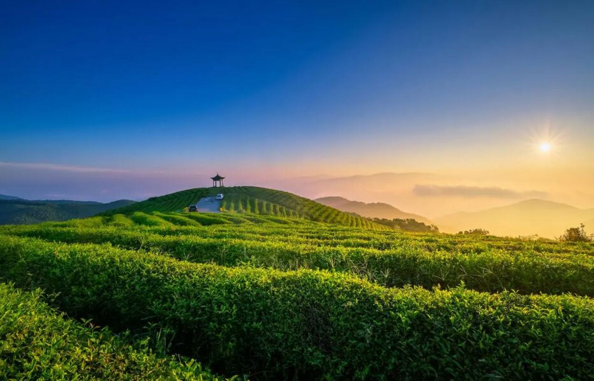 探寻江西—大余丫山风景旅游度假区介绍 大余丫山旅游度假区位于江西