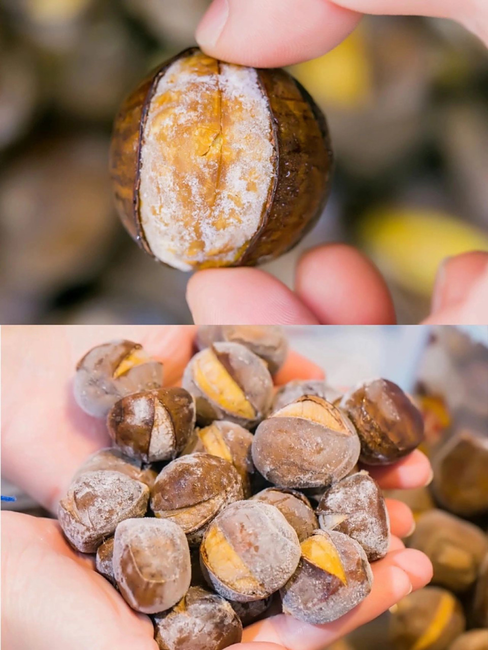 板栗星人必不能错过～ 	 刚刚从冰箱拿出来的板栗会有些冰