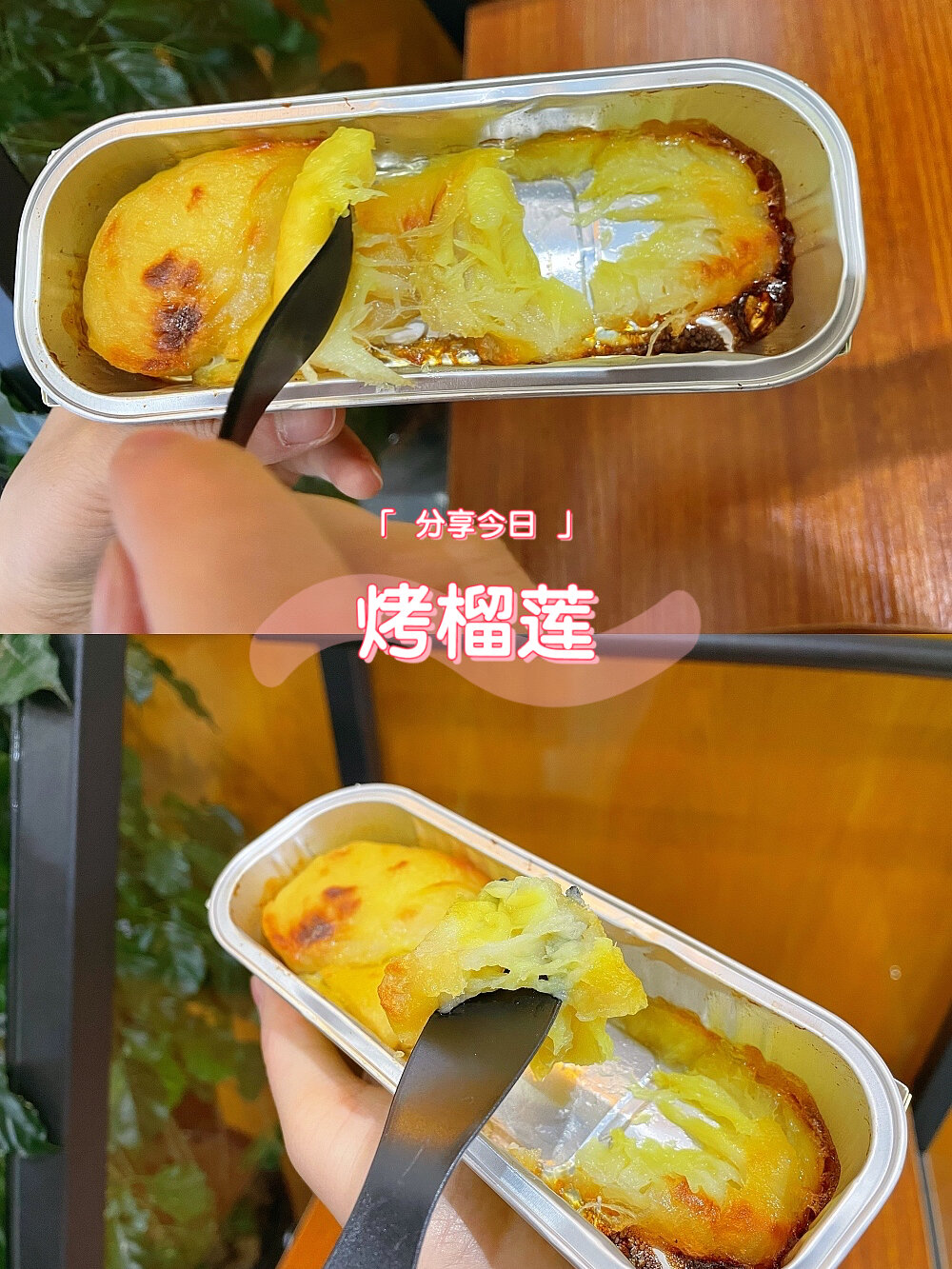 榴莲控一定要入的新世界