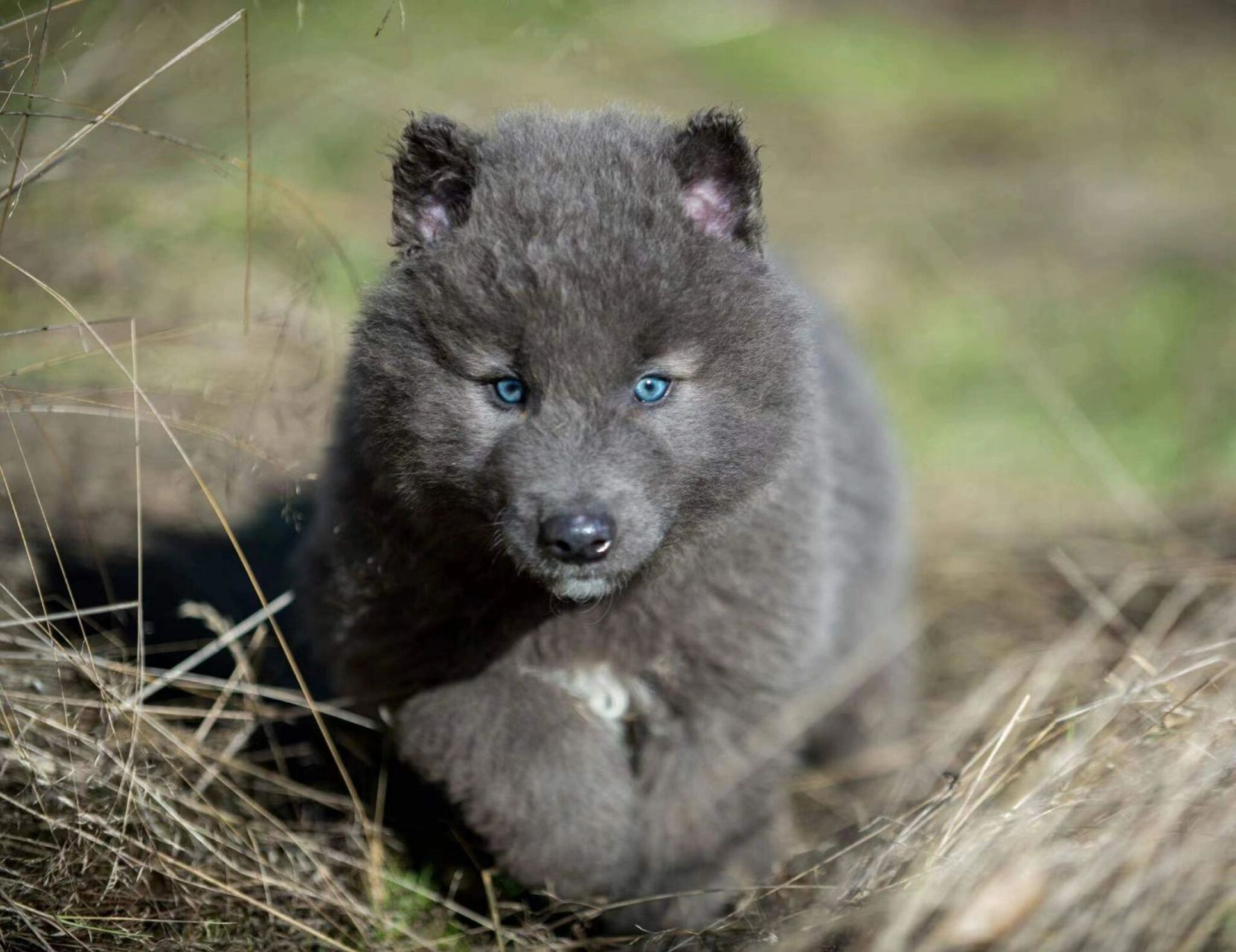 让你们知道真正的蓝湾价格 我发现好多up主发的有关