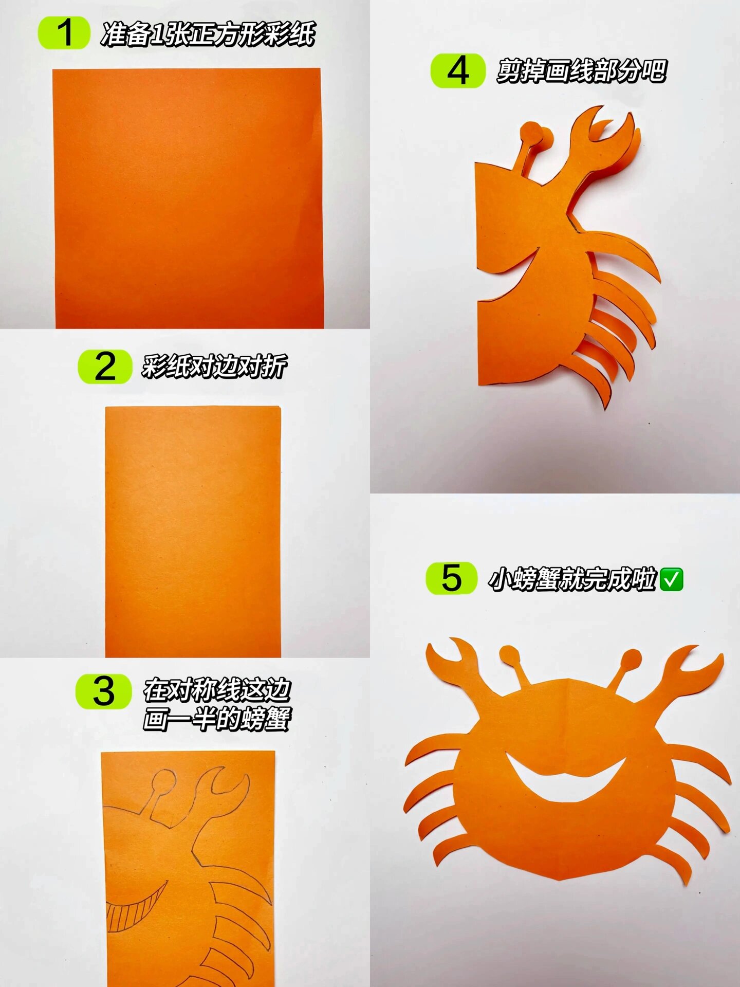 简易版75对称剪小螃蟹来啦02上手快又漂亮