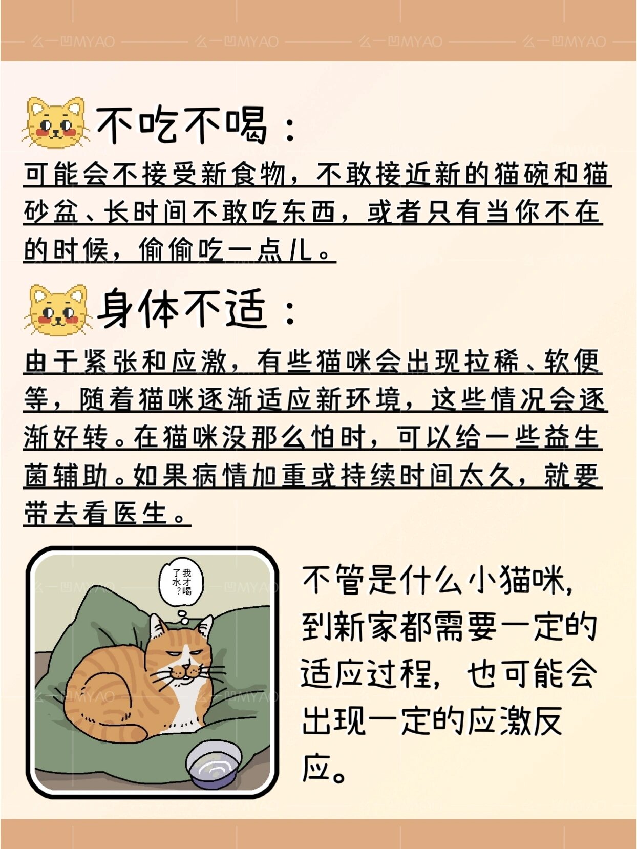 为什么猫咪回家后不吃不喝啊‼️别急�许多小猫咪一到新