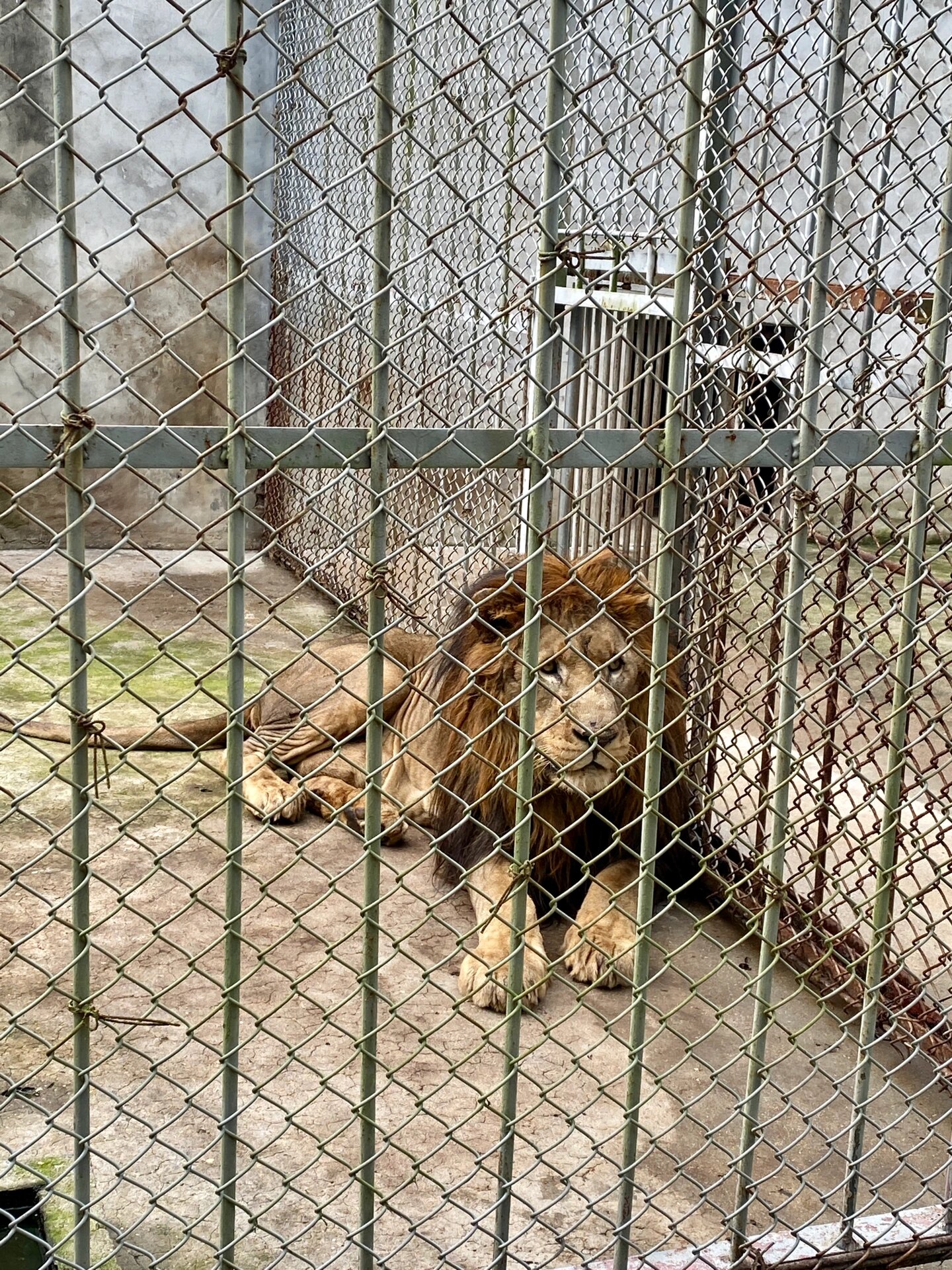 铜陵市动物园门票多少值得 这次回他家都推荐铜陵可玩点,堂弟家吃完饭