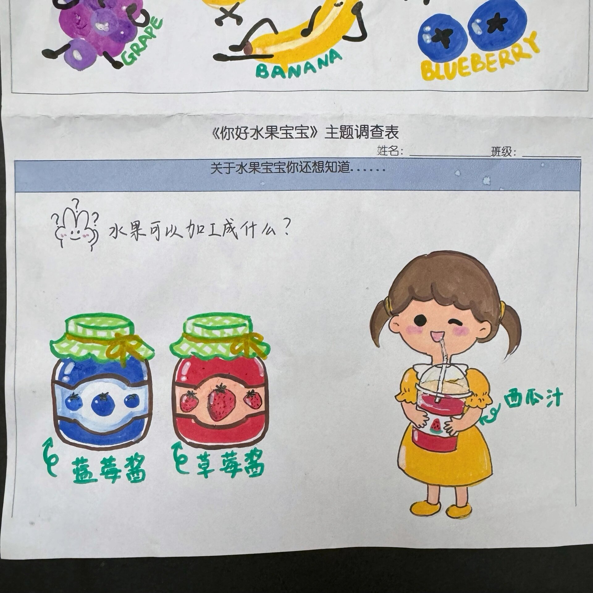 幼儿园小班水果调查表图片