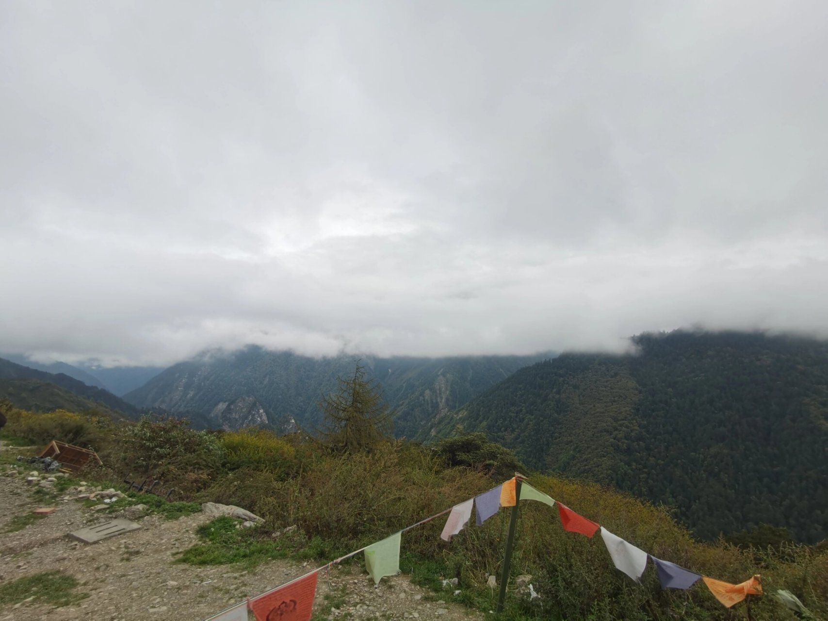 巴朗山隧道图片