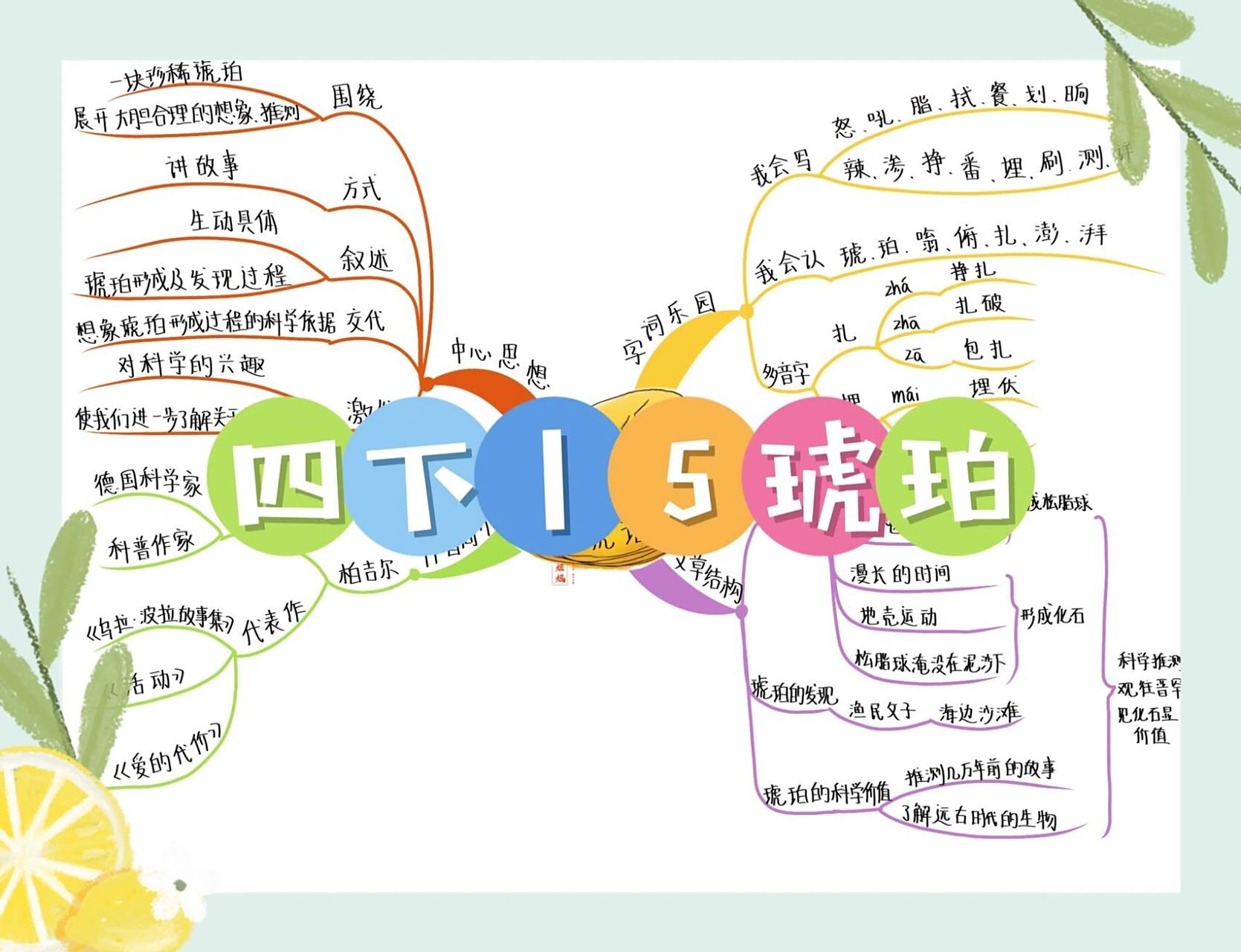四下丨5《琥珀》思维导图 相声演员郭德纲说玉清看家里有一块琥珀