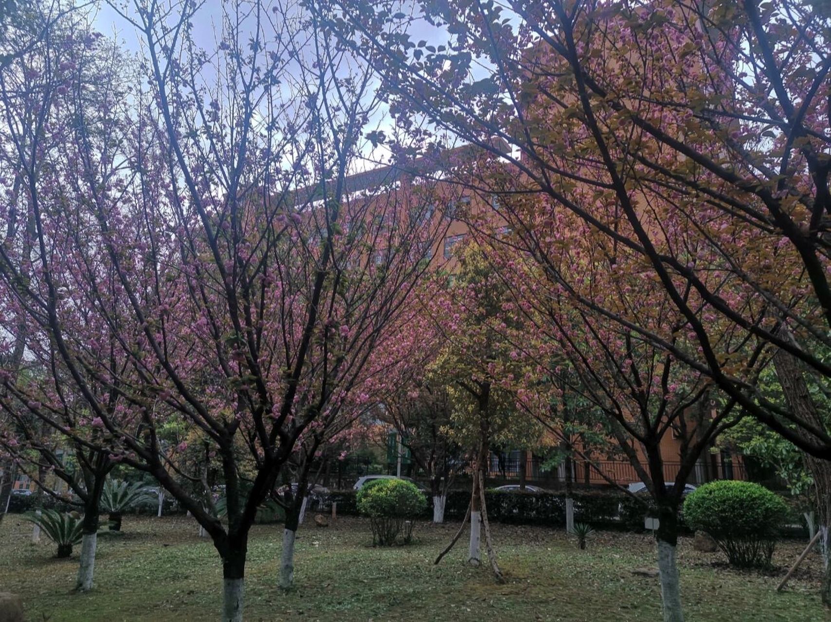 欢迎报考贵阳学院