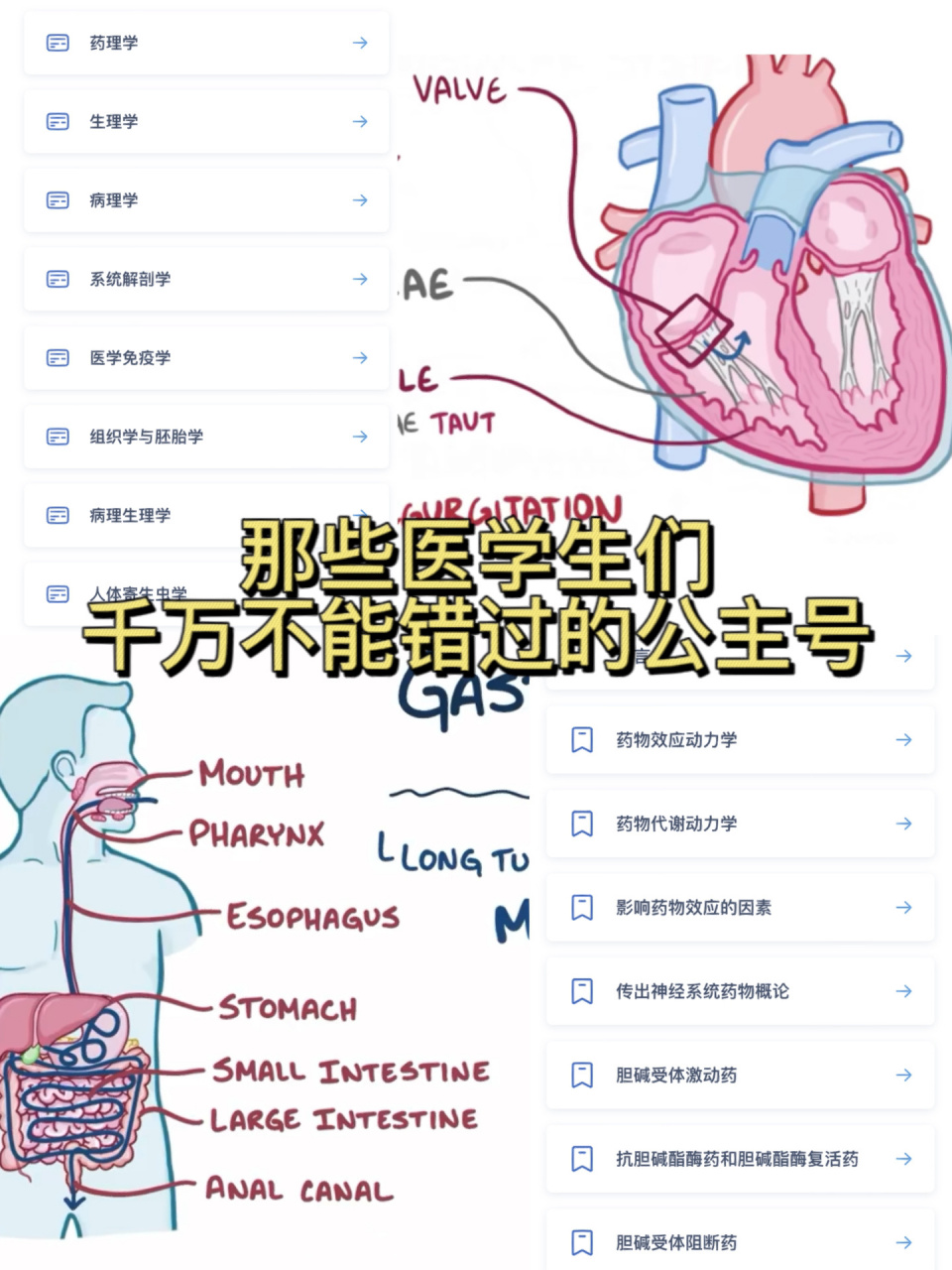 医学生必备97 11566医学生考试宝典 医学考试题库,按照医学教材