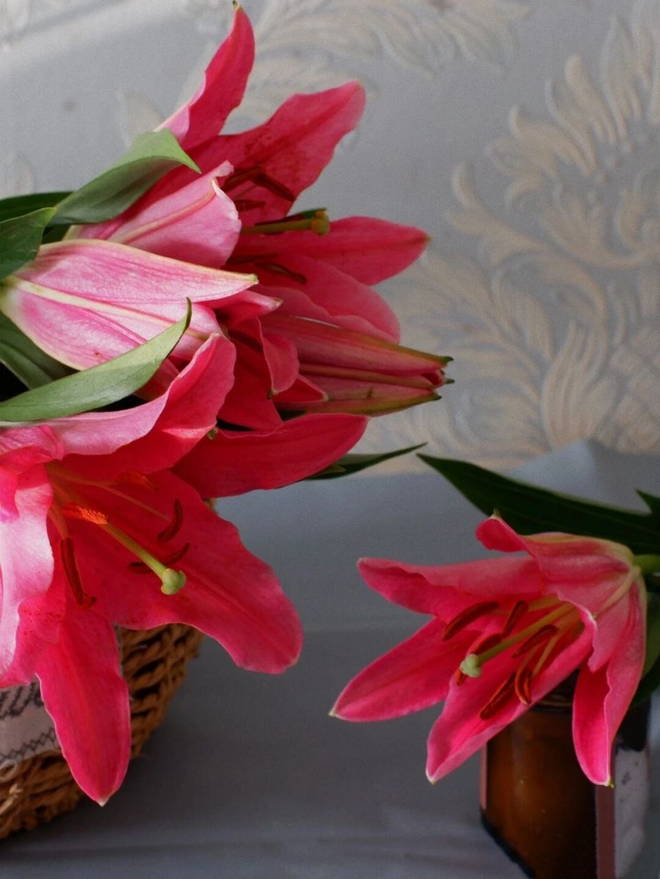 每天涨点新知识 | 西诺红百合 西诺红百合是红色系百合比较常见的一个