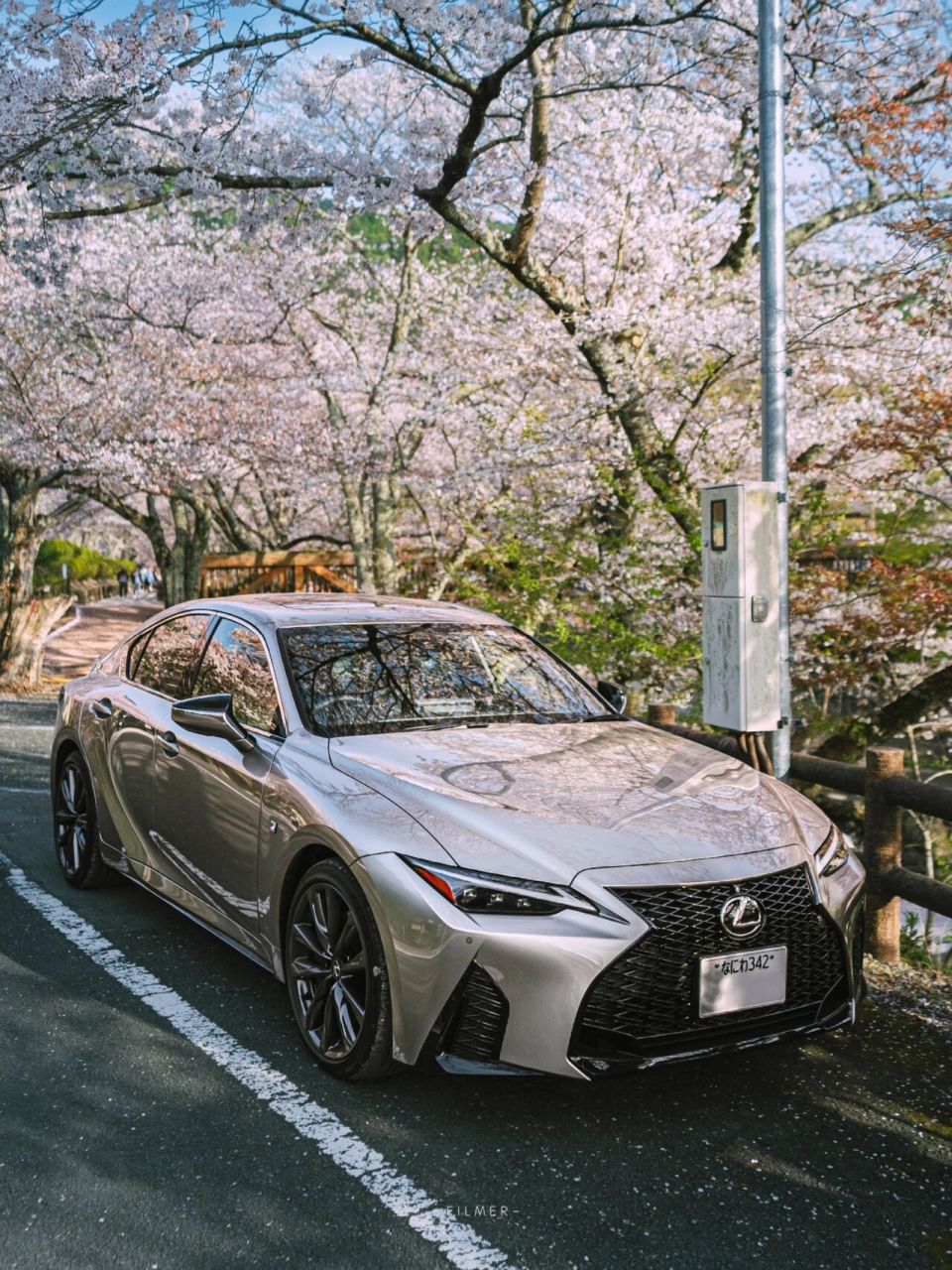 樱花树下拍新车94lexus is 350 f sport 今年终于实现了自驾去赏樱