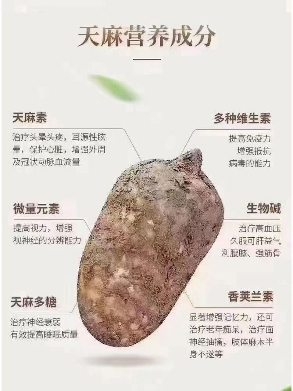 新鮮天麻的保存方法來了 新鮮天麻怎麼保存 1,冰箱保存法 新鮮天麻