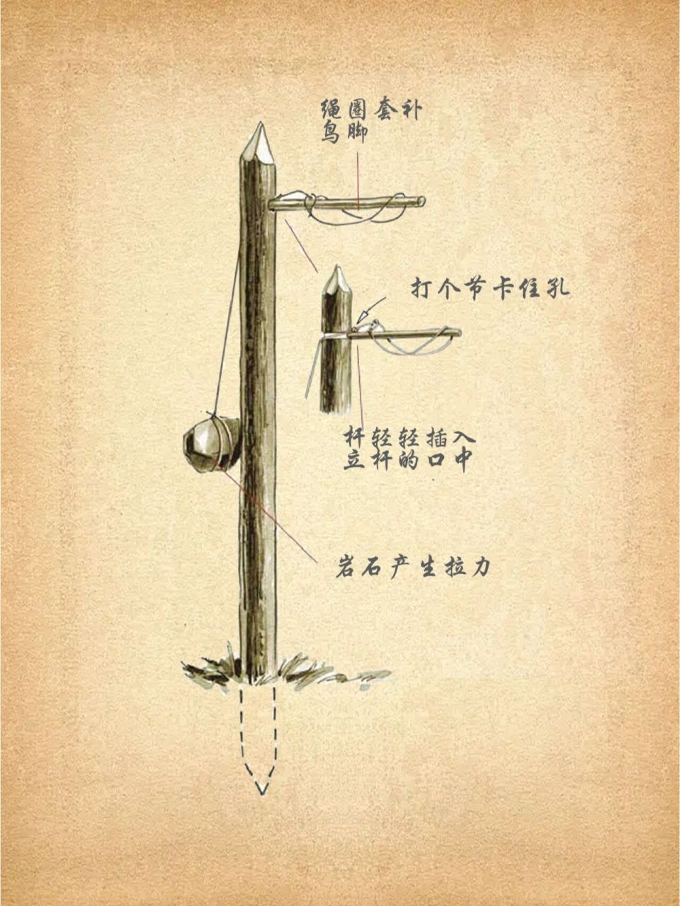 荒野生存中捕捉小动物的简易陷阱 户外生存中,长期缺乏蛋白质是致命的