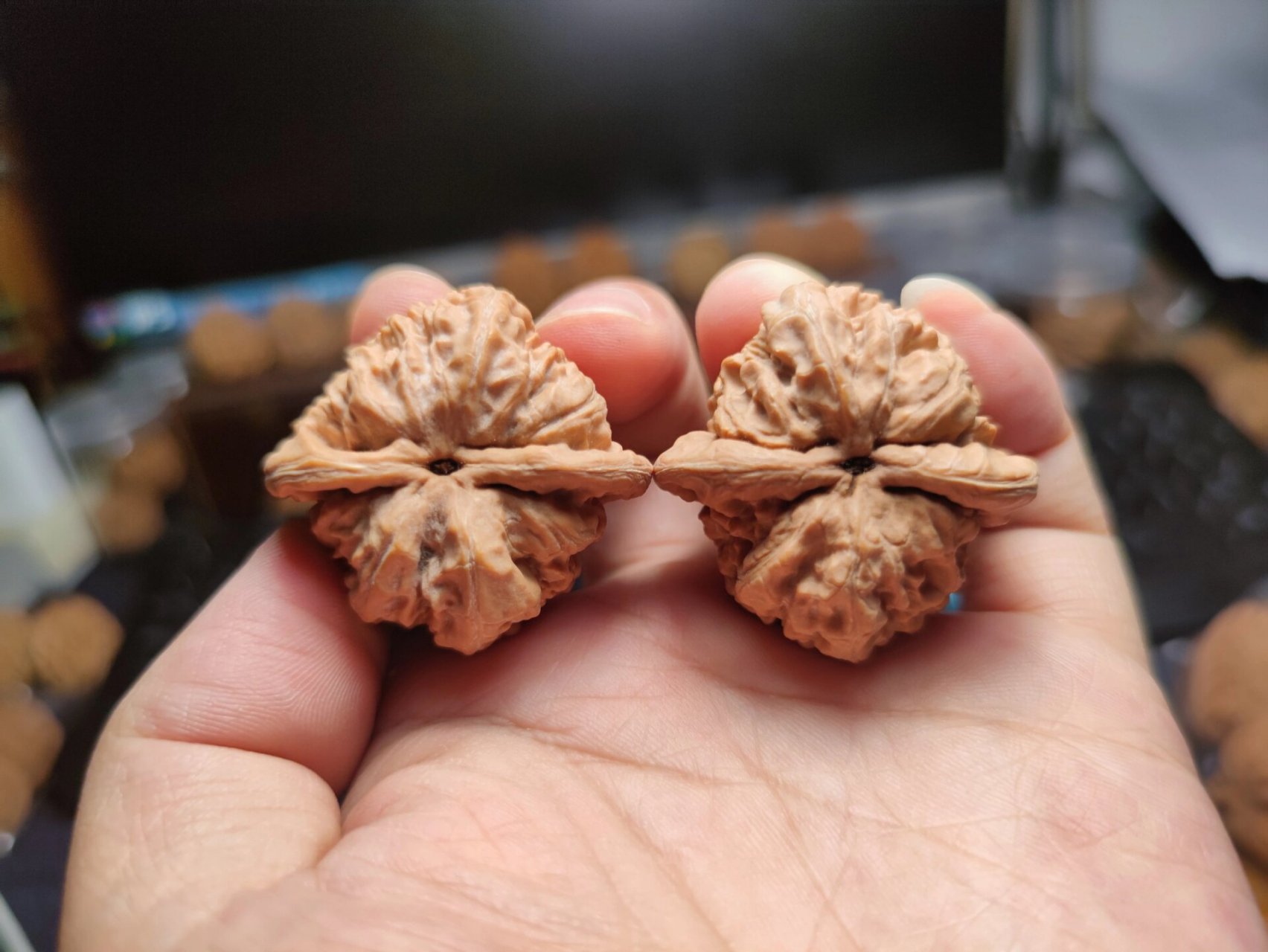 蚂蚁沟狮子头零元起拍小众文玩 蚂蚁沟狮子头零元起拍 尺寸:边39肚37