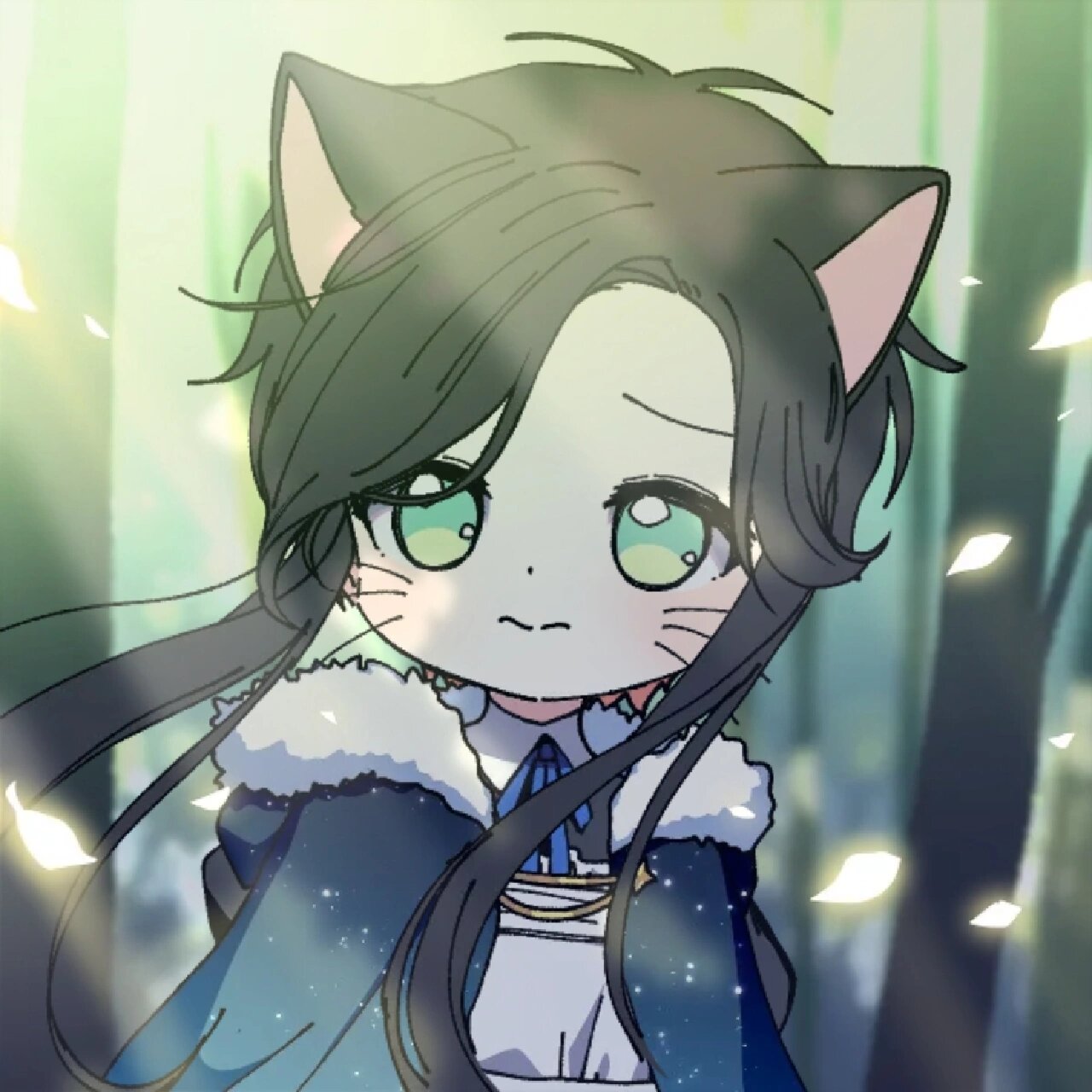猫武士拟人