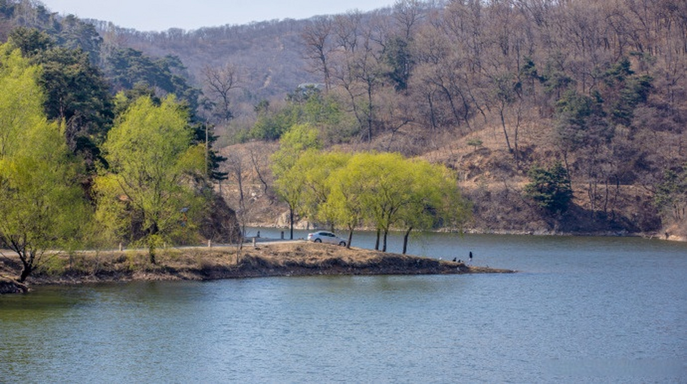 #最in山东打卡地# 泰安药乡国家森林公园以盛产药用植物而得名,药王孙