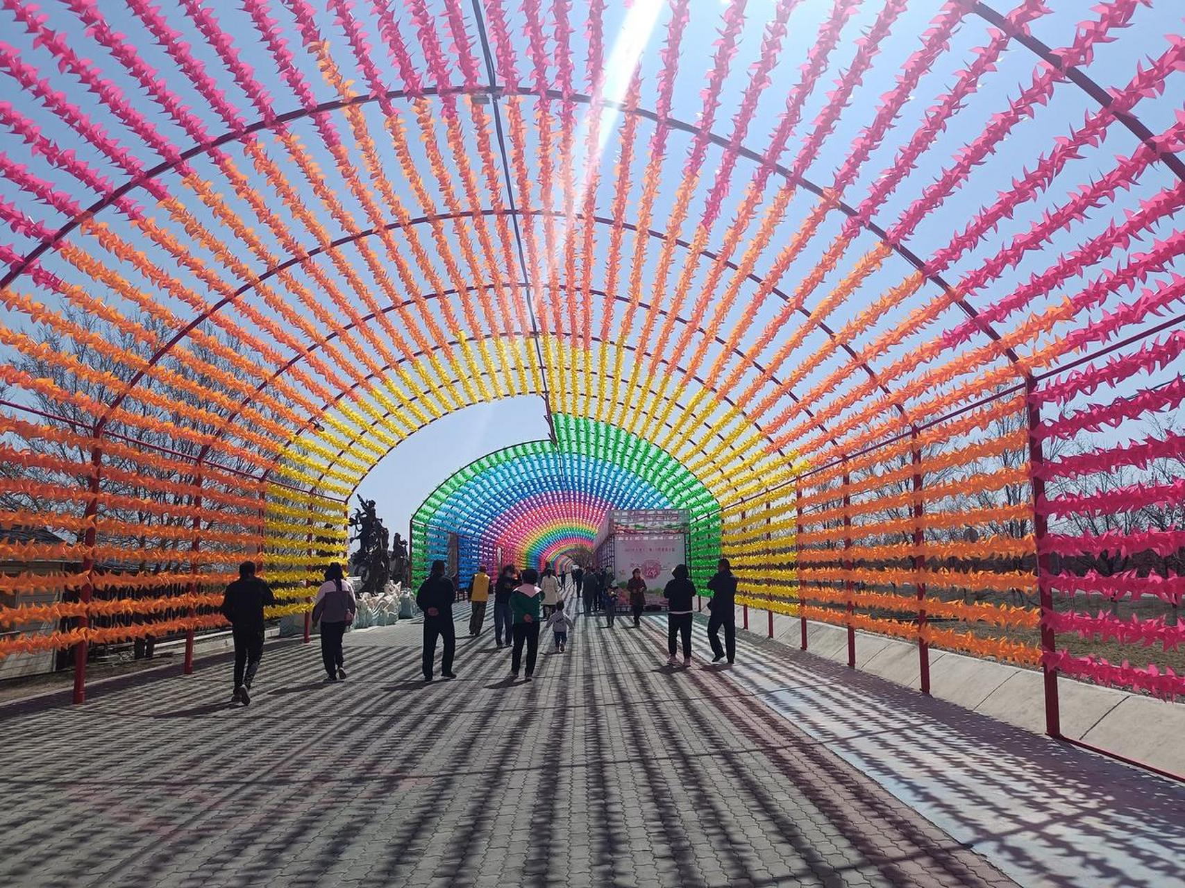 这是不是乌鲁木齐最大的风车长廊?