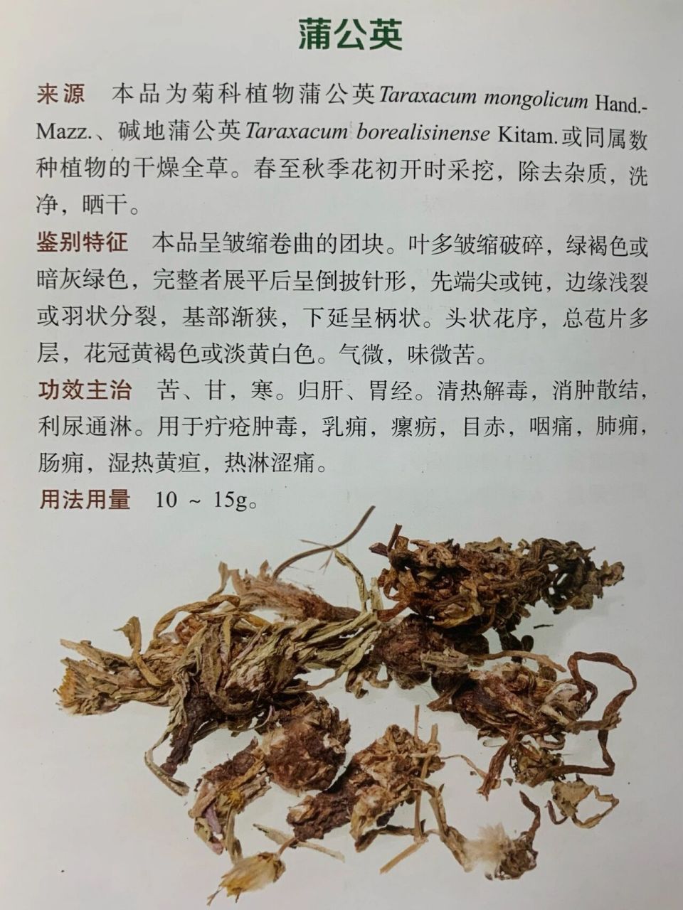 学中药,先认药|土茯苓蒲公英紫花地丁鱼腥草 清热药7915清热解毒
