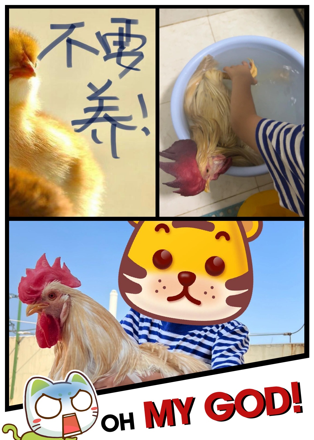 做生意如何借鸡生蛋(身无分文如何借鸡生蛋赚钱)