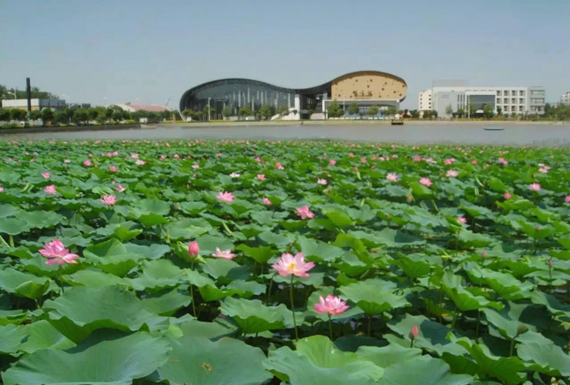 天津渤海职业技术学院 学院是我国第一个在中国境外创设鲁班工坊的