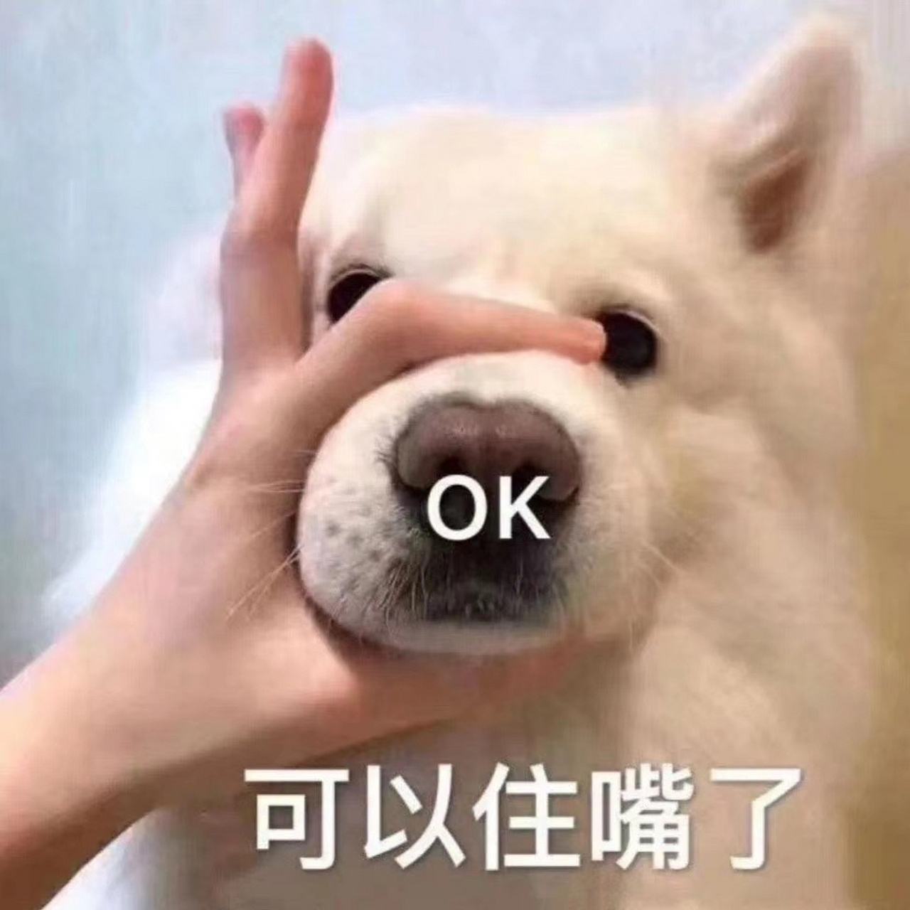 生气沙雕表情包 表情包分享