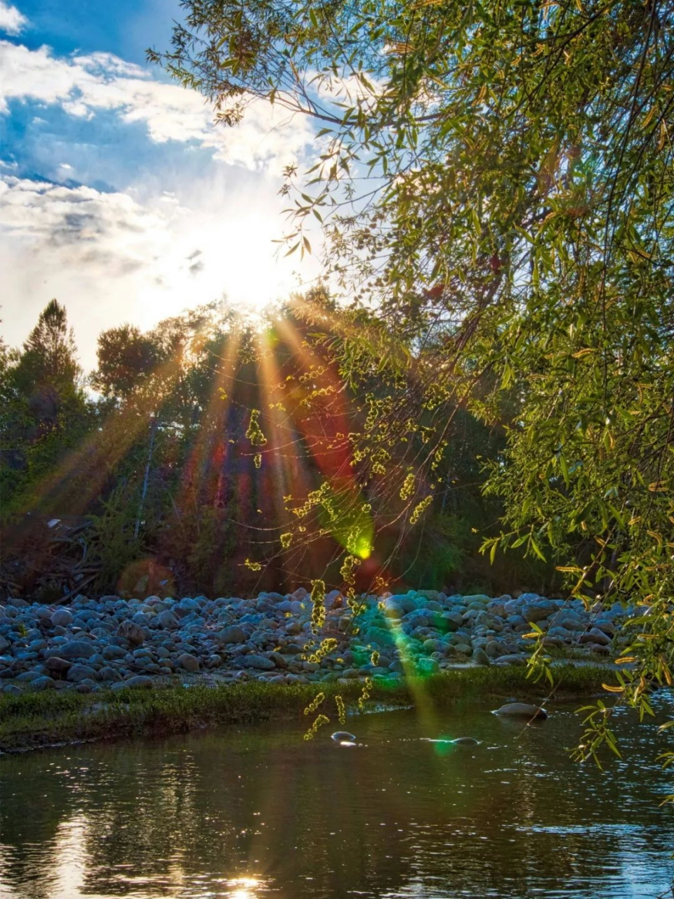 最美的太阳山水树图片图片